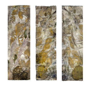 Eco print with eucalyptus leaves