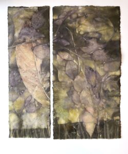 Pink Rain, 2025Eucalyptus leaves steamed with hibiscus flower