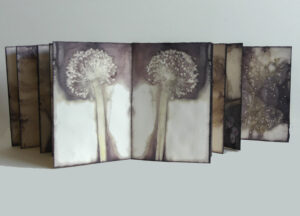 Accordion Fold Eco book